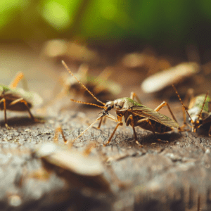 Your Complete Guide to Getting Rid of Bugs and Improving Your Health