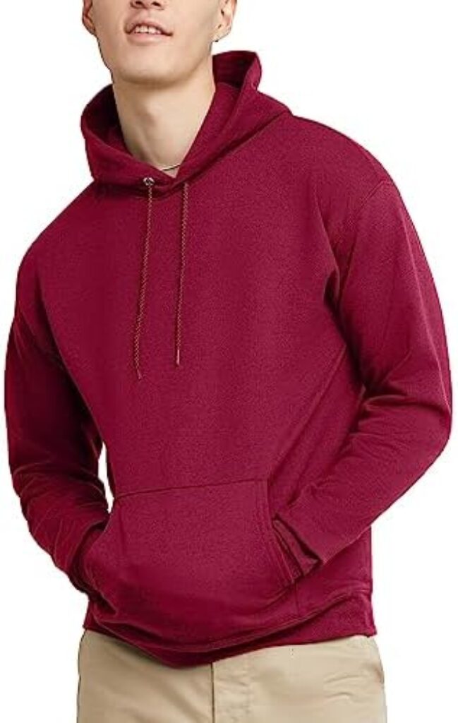 Hanes mens Ecosmart Hoodie, Midweight Fleece Sweatshirt, Pullover Hooded Sweatshirt for Men