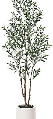 LOMANTO Artificial Olive Trees, 6 ft Tall Fake Olive Trees for Indoor, Faux Olive Silk Tree, Large Olive Plants with White Planter for Home Decor and Housewarming Gift, 1 Pack