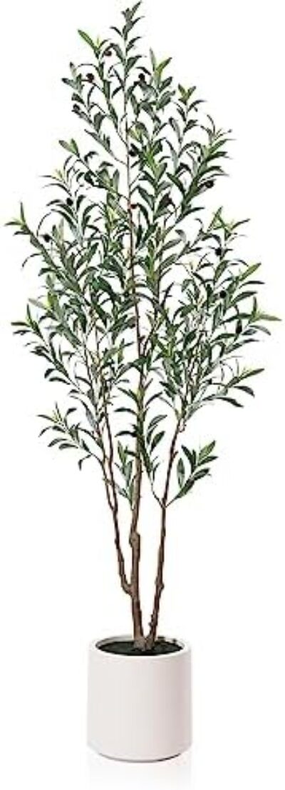 LOMANTO Artificial Olive Trees, 6 ft Tall Fake Olive Trees for Indoor, Faux Olive Silk Tree, Large Olive Plants with White Planter for Home Decor and Housewarming Gift, 1 Pack