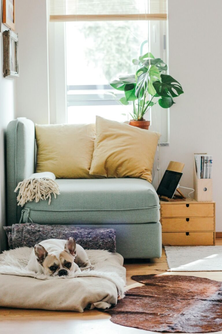 Transform Your Space: Create a Blissful Spa Day at Home