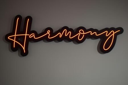 Together in Harmony: The Heartbeat of Shared Dreams