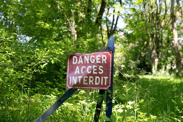 Mastering the Art of Managing Unexpected Interruptions Gracefully