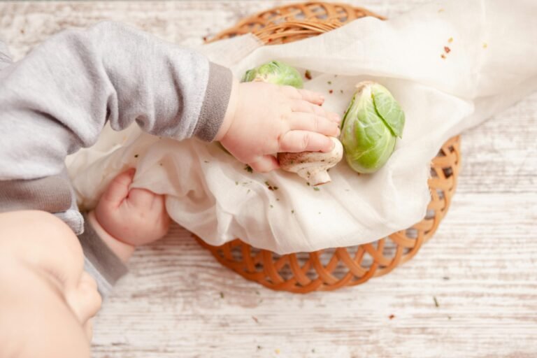 Tips for Introducing New Foods to Toddlers and Young Kids