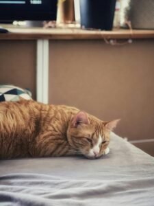 Maximizing Nap Time: Boost Productivity with Smart Rest
