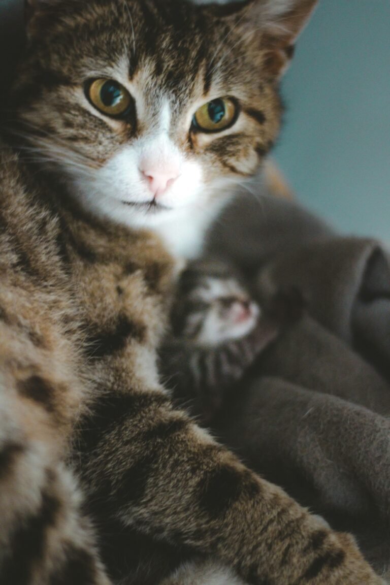 Finding Strength in Mom Guilt: A Journey to Self-Compassion