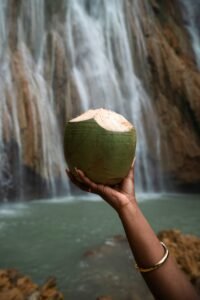 Nourish Every Decade: Nutrition Tips for Women’s Wellness
