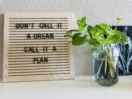 Balancing Ambitions: Setting Realistic Career and Family Goals