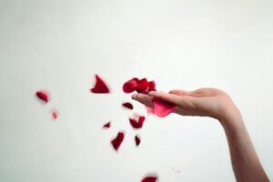 How to Apologize and Rekindle Love: A Romantic Guide