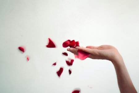 How to Apologize and Rekindle Love: A Romantic Guide