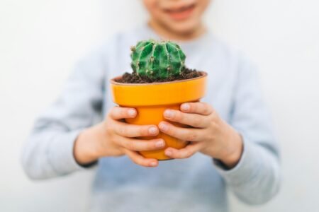 Nurturing Growth Mindset: Raising Resilient, Confident Kids