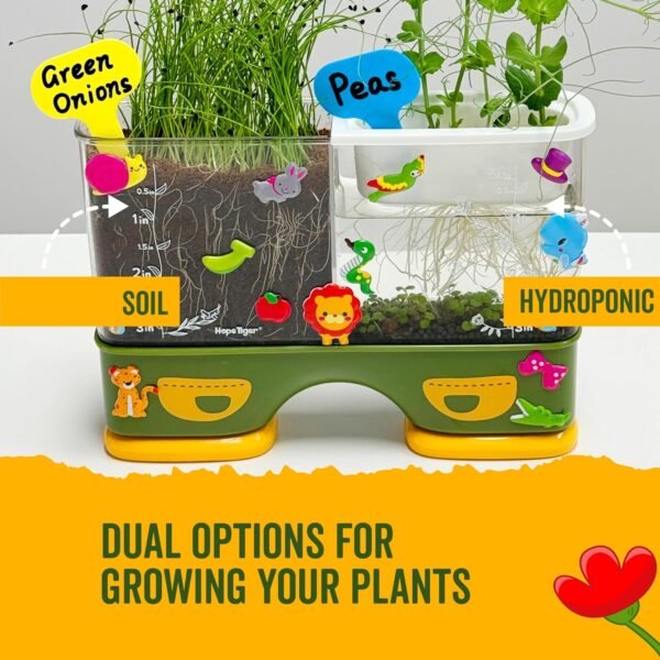 Gardening Root Viewer for Kids - Planting Kits wit... - Image 5