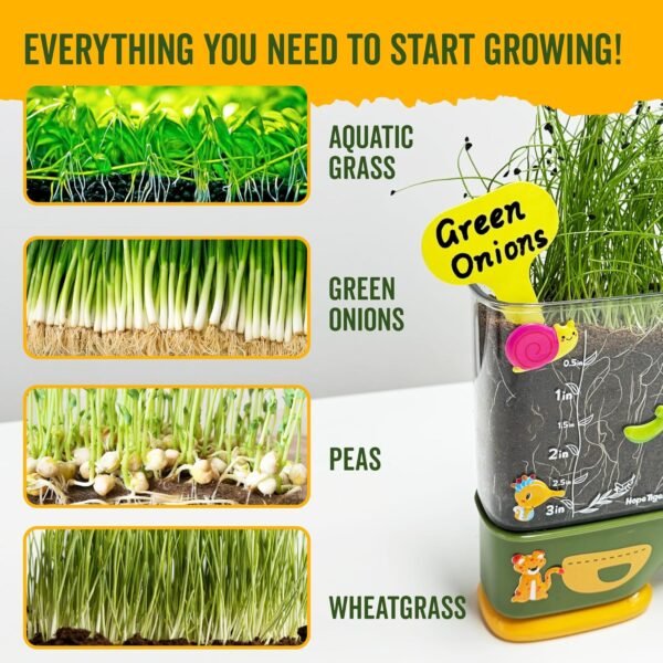 Gardening Root Viewer for Kids - Planting Kits wit... - Image 3