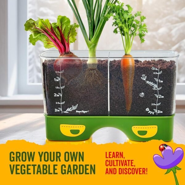 Gardening Root Viewer for Kids - Planting Kits wit... - Image 6