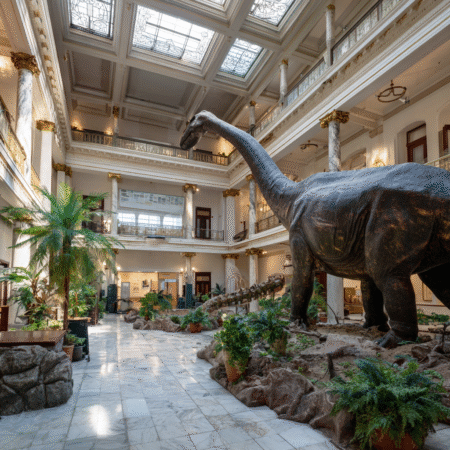 Hidden Gems: Surviving Local Museums & Parks Without Snoozing