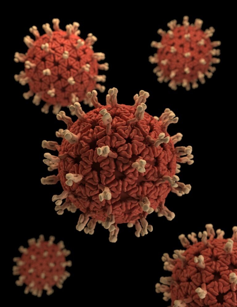 Boost Your Health: Easy Habits for a Stronger Immune System