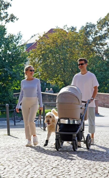 Top Strollers for Newborns and Toddlers: A Complete Guide
