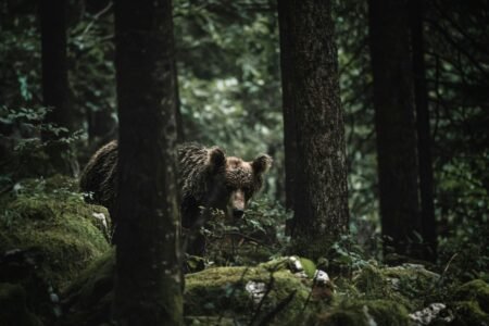 35 Hilarious Nature Scavenger Hunt Ideas to Try Today!
