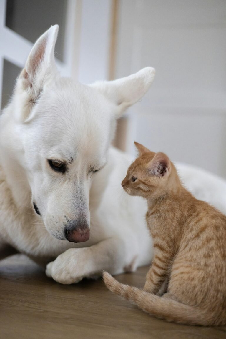 Finding Strength: Embracing and Overcoming Mom Guilt