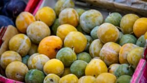 Eating Seasonally: Boost Health and Save Money Year-Round
