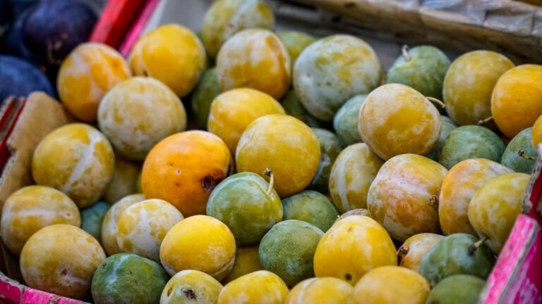 Eating Seasonally: Boost Health and Save Money Year-Round