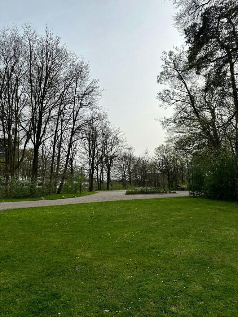 Backyard Golf: Because Who Needs the Pros Anyway?