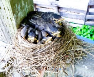Inspiring Success Stories of Moms Thriving in Business