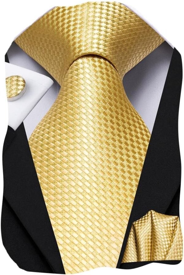 Dubulle Mens Paisley Floral Silk Tie for Men Strip... - Image 2